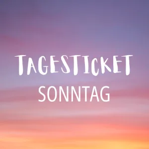 Tagesticket Sonntag Frühling 2026